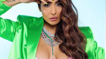 Celebrity Photos of Malaika Arora