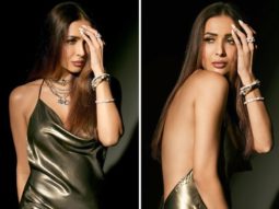 Malaika Arora is irresistibly gorgeous in backless and plunging metallic dress