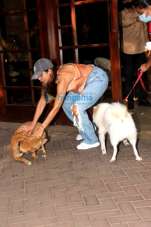 photos malaika arora spotted in khar 3