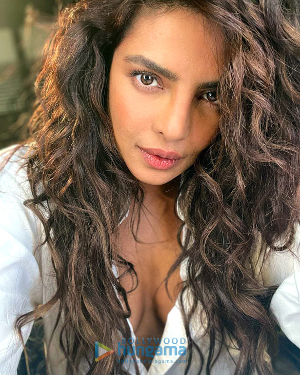 priyanka chopra jonas 2 17