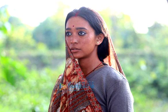 sherdil the pilibhit saga