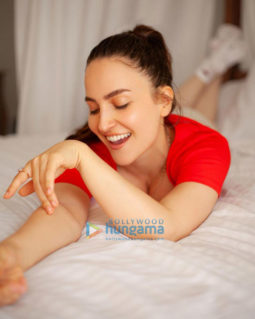 Celebrity Photos of Elli AvrRam