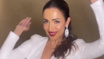 Malaika Arora’s beautiful shimmery look