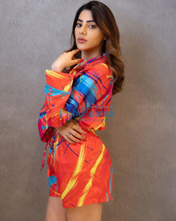 Celebrity Photos of Nikki Tamboli