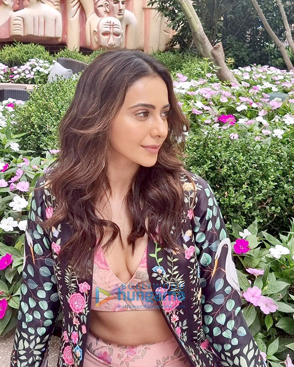 rakul preet singh 3 91