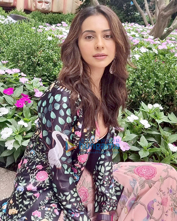 rakul preet singh 4 64
