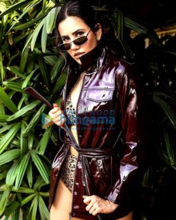 Celeb Photos Of Sonnalli Seygall