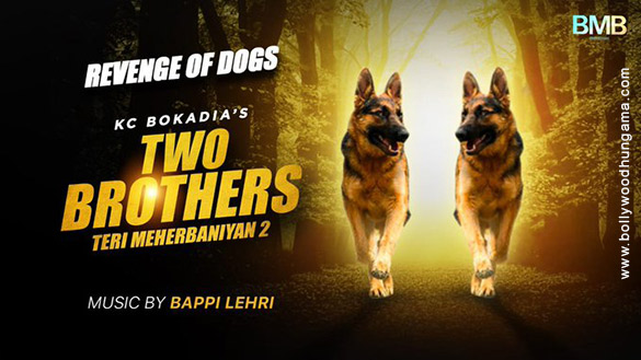 First Look Of Teri Meherbaniyan 2