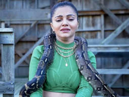 Khatron Ke Khiladi: Pratik Sehajpal, Mr Faisu, Rubina Dilaik, Jannat Zubair