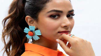 Celebrity Photos of Mira Kapoor