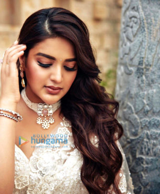 Celeb Photos Of Nidhhi Agerwal