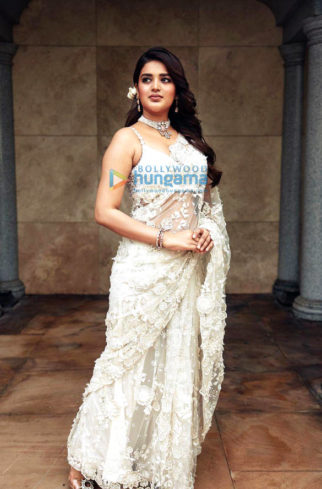 Celeb Photos Of Nidhhi Agerwal