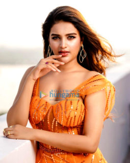 Celeb Photos Of Nidhhi Agerwal