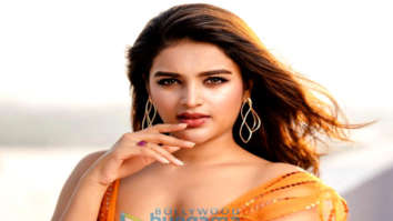 Celeb Photos Of Nidhhi Agerwal