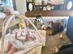 Priyanka Chopra shares adorable photos of her daughter Malti Marie with her pet dogs