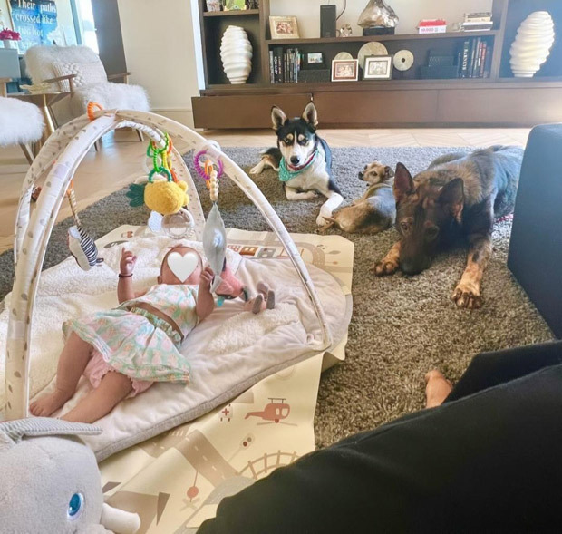 Priyanka Chopra shares adorable photos of her daughter Malti Marie with her pet dogs Priyanka Chopra shares adorable photos of her daughter Malti Marie with her pet dogs