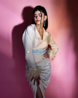 Celeb Photos Of Sanjana Sanghi