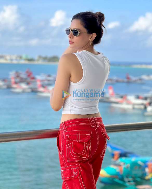 aamna sharif 2