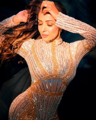 Celeb Photos Of Malaika Arora