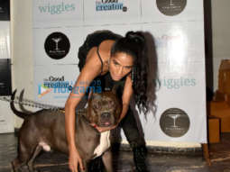 Photos: Celebrity pet parents grace the Petfluencer party