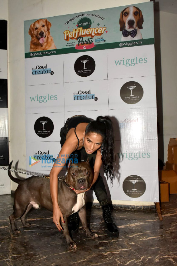 Photos: Celebrity pet parents grace the Petfluencer party Photos: Celebrity pet parents grace the Petfluencer party