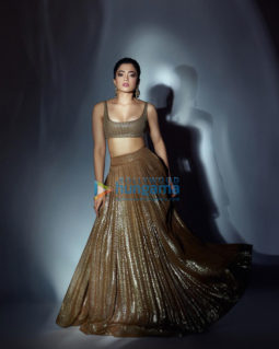 Celebrity Photos of Rashmika Mandanna