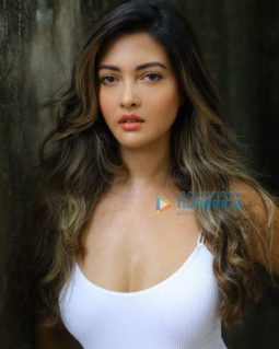Celebrity Photos of Riya Sen