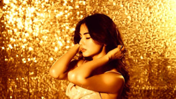 Celeb Photos Of Sonal Chauhan