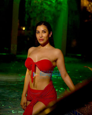 Celeb Photos Of Sophie Choudry