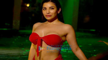 Celeb Photos Of Sophie Choudry