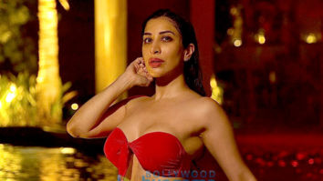 Celeb Photos Of Sophie Choudry