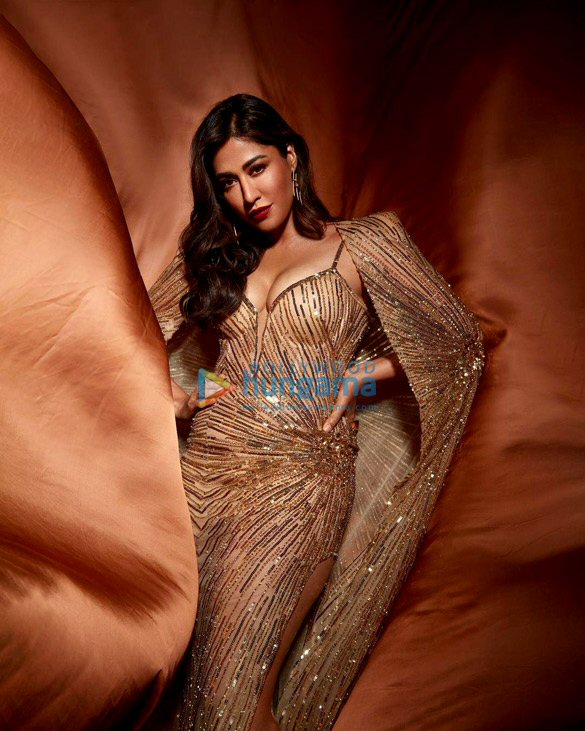 chitrangda singh 5 6