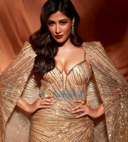 Celebrity Photos of Chitrangda Singh