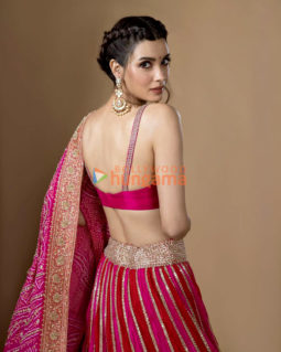 Celebrity Photos of Diana Penty