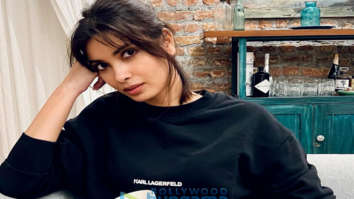 Celebrity Photos of Diana Penty