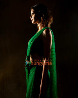 Celebrity Photos of Diana Penty