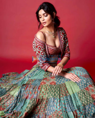 Celebrity Photos of Diana Penty
