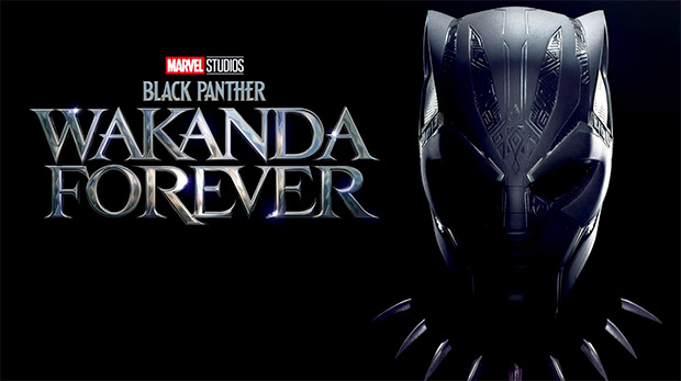Disney confirms a year-long time jump after T'Challa's death in Black Panther: Wakanda Forever