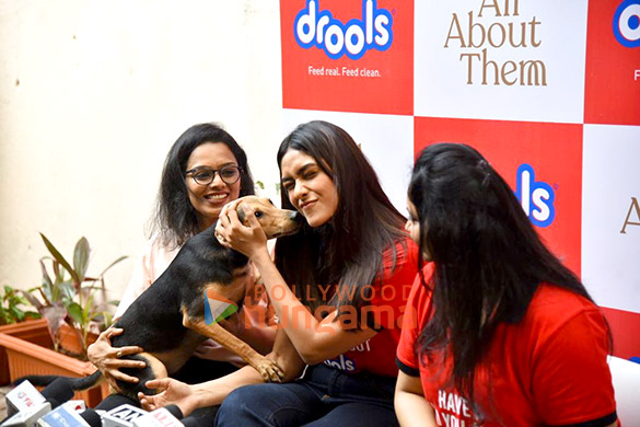 photos mrunal thakur hosts a food donation drive for stray animals 000 1