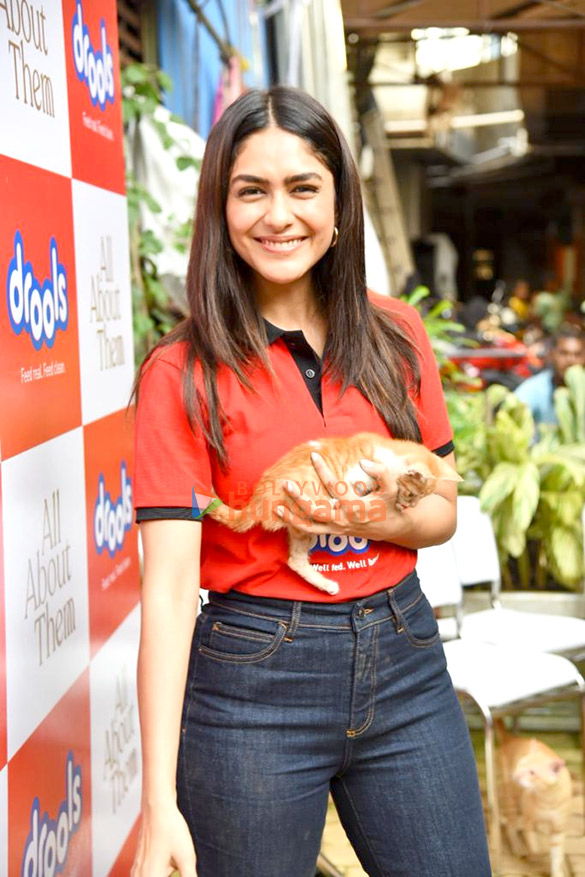 photos mrunal thakur hosts a food donation drive for stray animals 000 4
