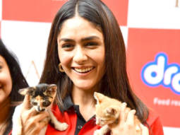 Photos: Mrunal Thakur hosts a food donation drive for stray animals