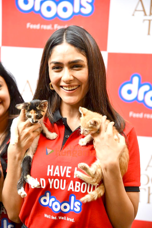 Photos: Mrunal Thakur hosts a food donation drive for stray animals Photos: Mrunal Thakur hosts a food donation drive for stray animals