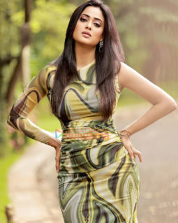 Celeb Photos Of Shweta Tiwari