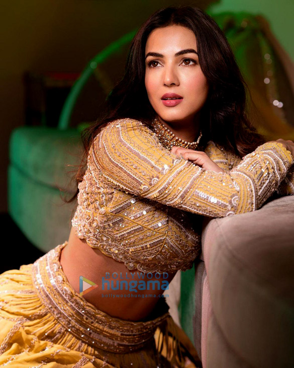 sonal chauhan 134
