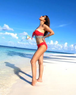Celebrity Photos of Sophie Choudry