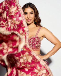 Celeb Photos Of Sophie Choudry
