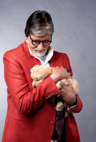 Celeb Photos Of Amitabh Bachchan