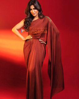 Celebrity Photos of Chitrangda Singh