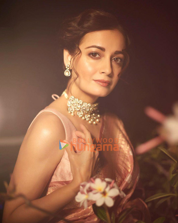 dia mirza 2 37