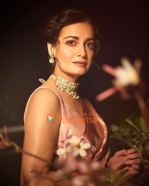 dia mirza 3 32
